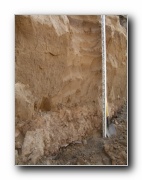 Click to enlarge this image